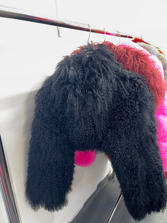 Mongolian Coat ( Not cropped)