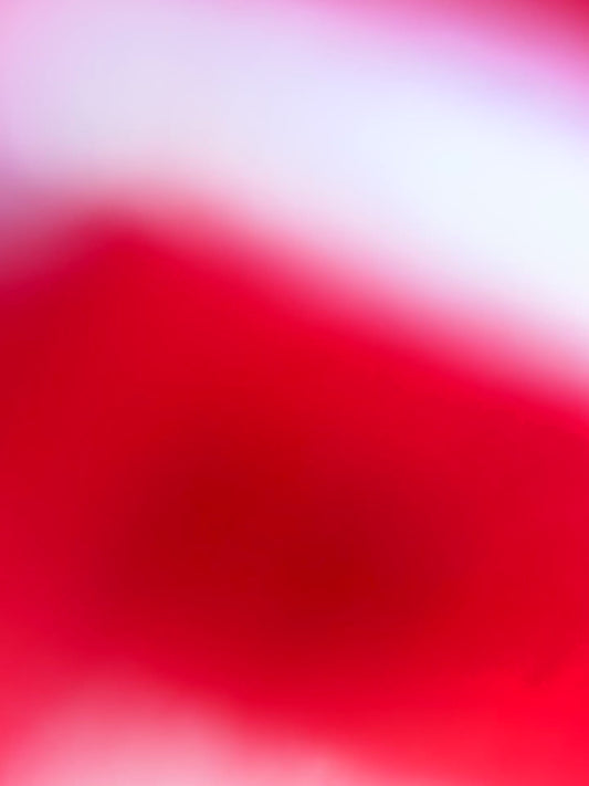 Mink Section Fur Varsity Bomber | FGM Bespoke